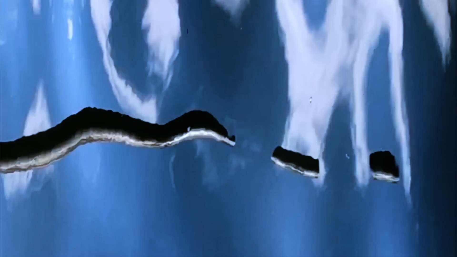 Anneke Kleimann, Drifting, 2021, Video, 4 min 40 sec Loop 